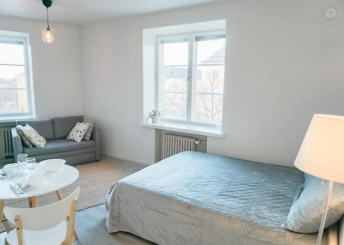 Cozy Vallila Studio - Easy To Centre & Airport